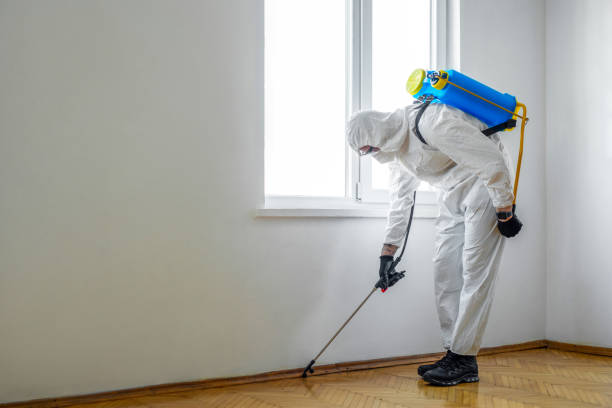 Best Wildlife Control Services  in Enon, VA