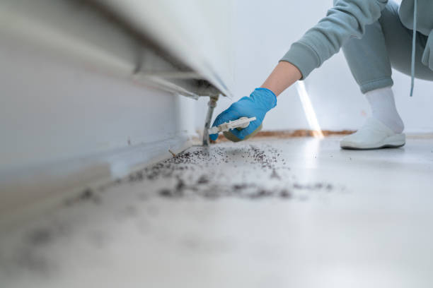 Best Cockroach Control Services  in Enon, VA